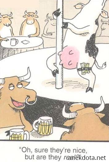 Είναι αληθινά; 