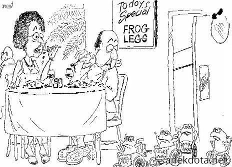 Βατραχοπόδαρα 