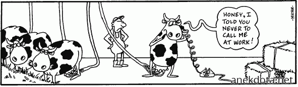 Μη με παίρνεις στη δουλειά 