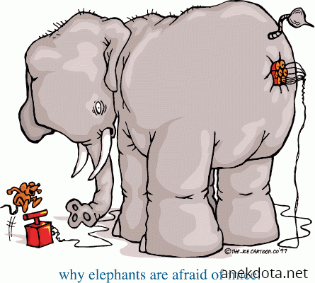 Ο ελέφαντας και το ποντίκι 