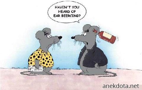 Ear beercing 