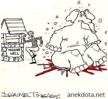 Έπιασε η ευχή 