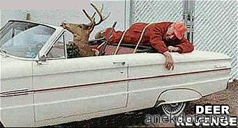 Η εκδίκηση του  ελαφιού 