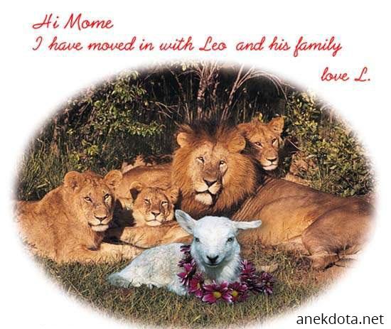 Όλα πάνε καλά 