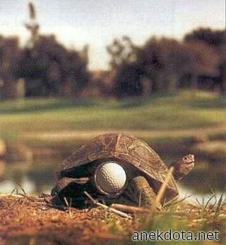 Που το βρήκε αυτό; 