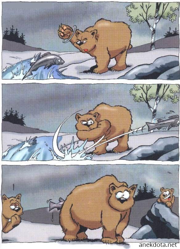 Αρκουδοατύχημα 