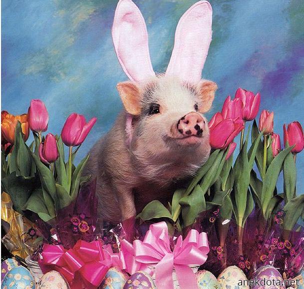 Μεταμφίεση 