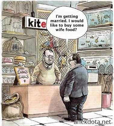 Φαί για τη σύζηγο 