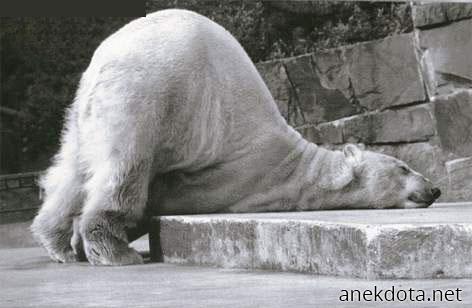 Εδώ,χαλαρώνω λίγο 