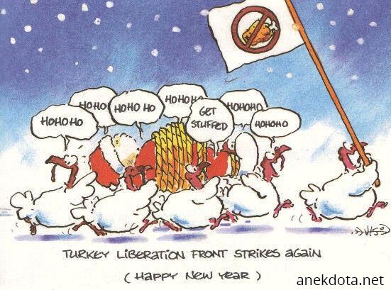 Turkey liberation front 