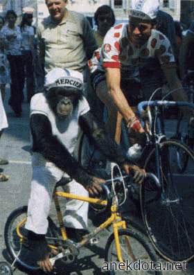 Ναυτάκι ποδηλάτης 