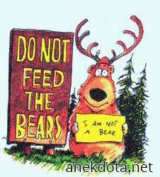 Δέν είμαι αρκούδα 