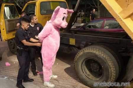 Συλλαμβάνεσαι 