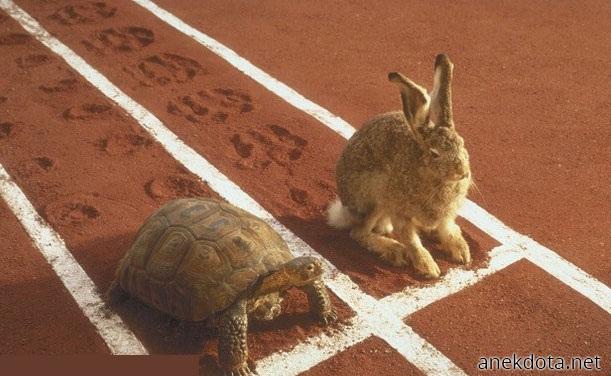 Το κλασσικό δίδυμο 