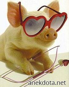 Το αγαπησιάρικο γουρουνάκι 