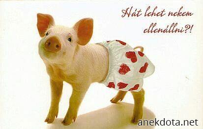 Καρδουλοπάνες 