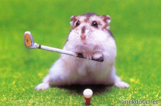 Cute golfer 