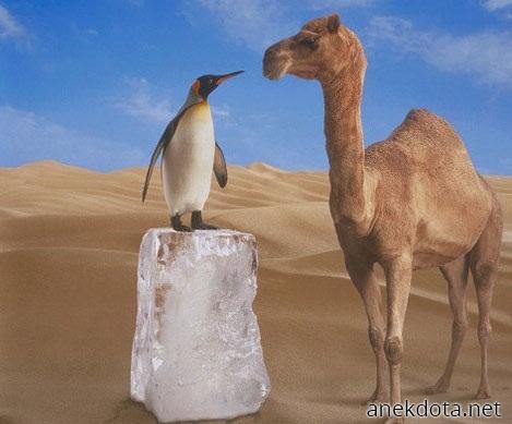 Στο ίδιο ύψος 