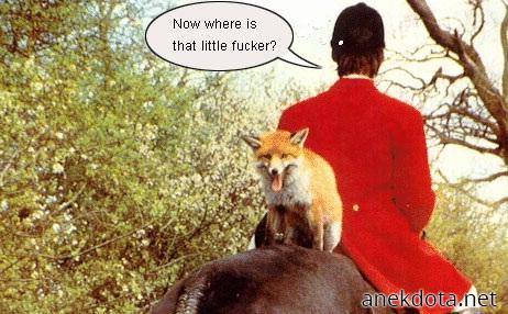 Το ποιό  πονηρό ζώο 