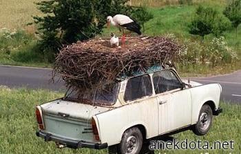 Φολιές παντού 