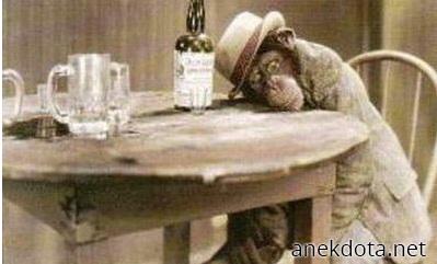 Μαιμού πότης 