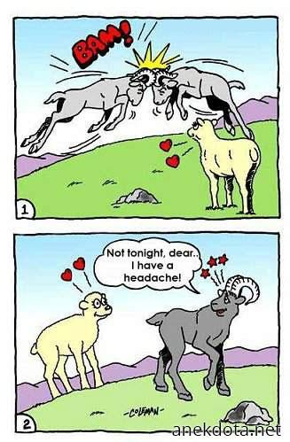 Έχω πονοκέφαλο 