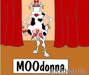Moodonna 