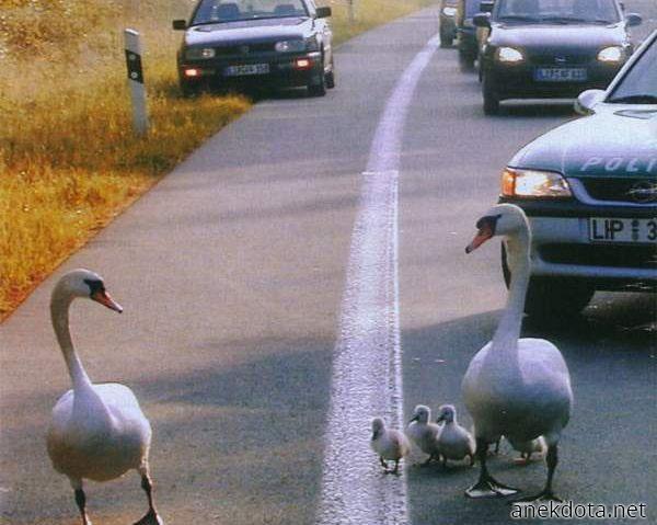 Γιατί δε πάμε απο το πεζοδρόμιο 