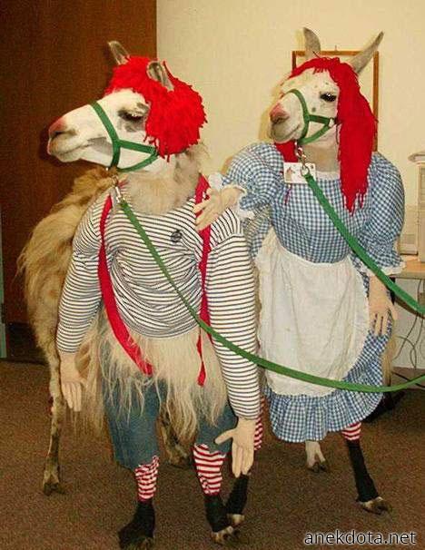 Άλλη μια μεταμφίεση 