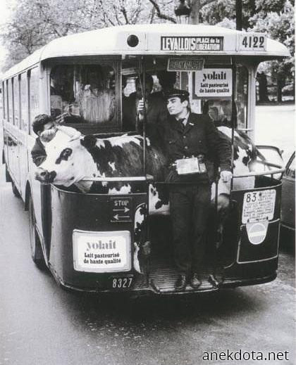 Παράξενος επιβάτης 