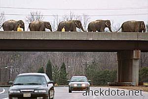 Γερή γέφυρα 