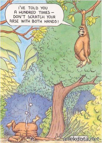 Μη ξύνεσαι και με τα δυο 