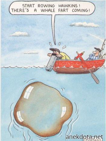 Whale fart 