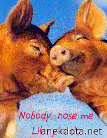 Nobody nose me like you do 