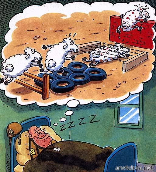 Εκπαίδευση προβάτων 