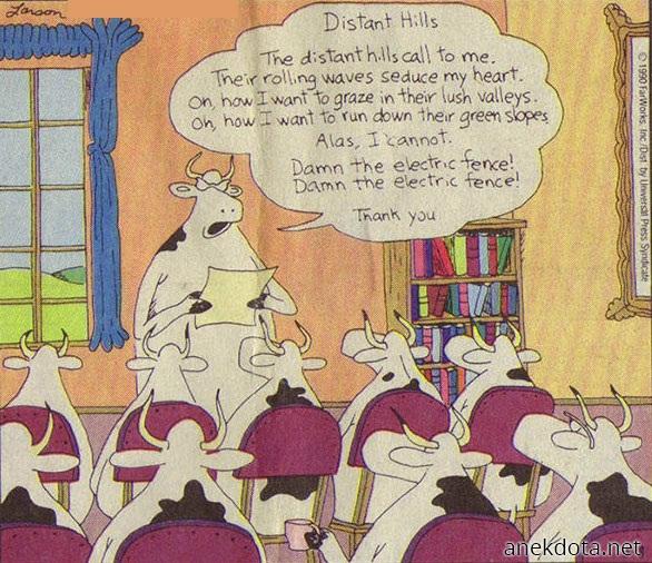 Damn the electric fence 