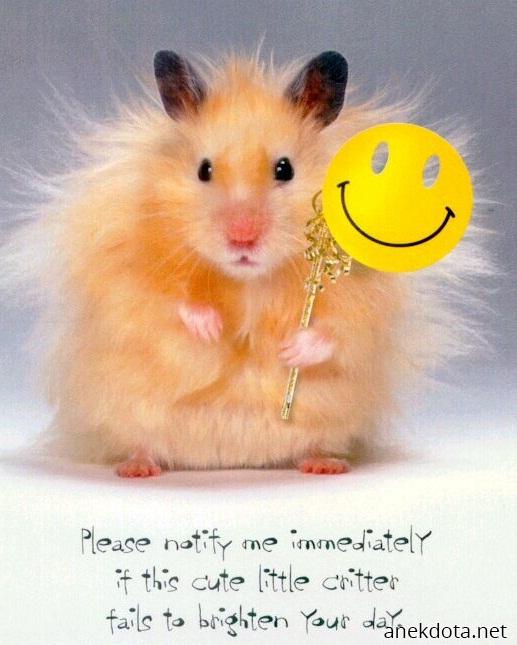 Ενημερώστε με αν σας φτιάξει τη μέρα 