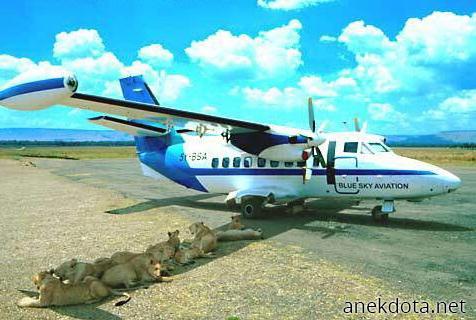 Χρήσιμη σκιά 