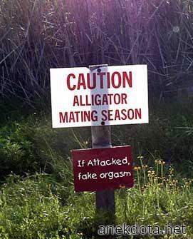 Μερικές φορές καλύτερα να προσποιήσε 