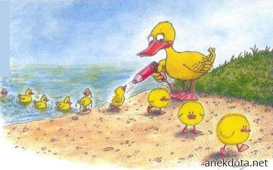 Το πιστολάκι 