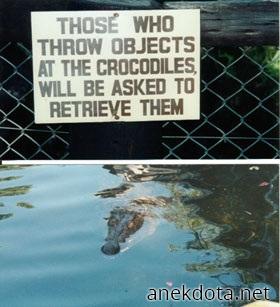 Αν είσαι μάγκας πέτα κάτι μέσα 