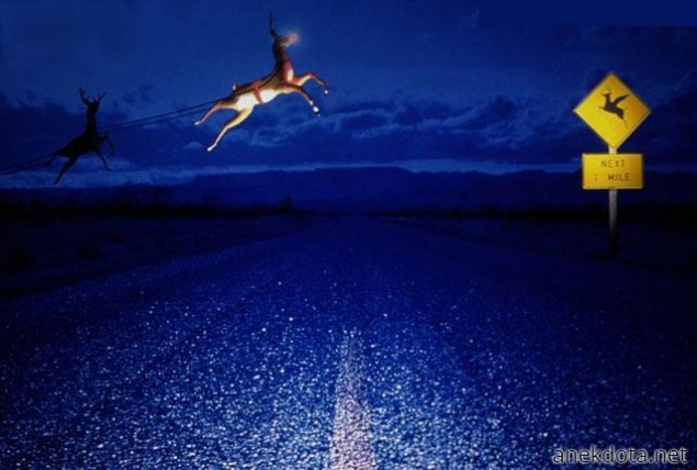 Πετάει ο τάρανδος; 