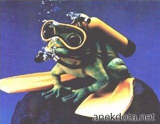 Βάτραχος δύτης 