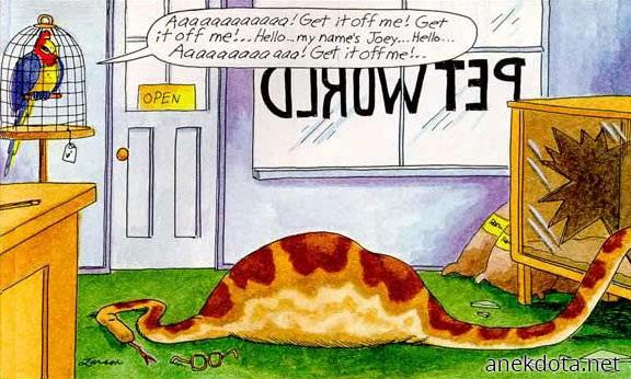 Αναπαράσταση 