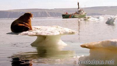 Με ξεχάσατε 