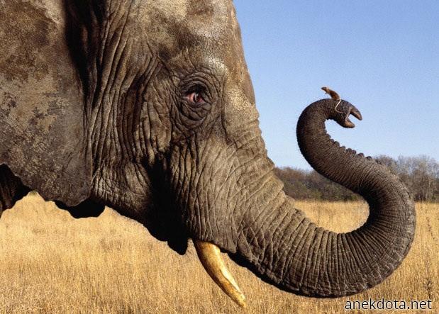 Πάλι αυτοί… 