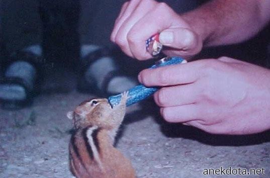 Κάτσε να στο ανάψω 