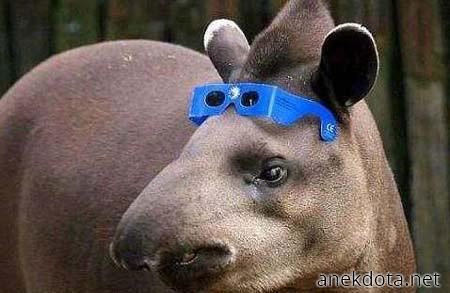 Ώρα για slides 