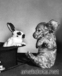 Κου-κου-τσα!! 