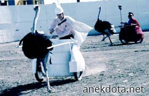 Περίεργη κούρσα 